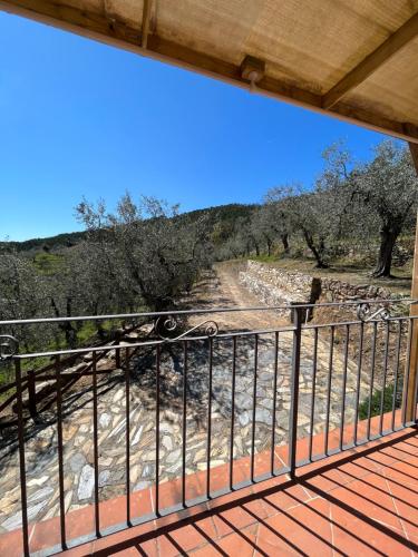 a balcony with a view of a dirt road at Agriturismo Campo dei Lupi in Vicopisano