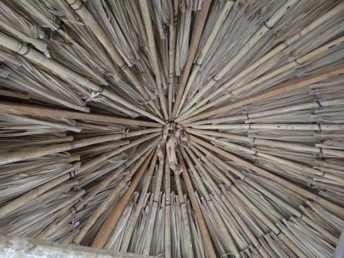 a close up of a piece of wood at Eco-Camping Mango Feliz Rincón del Mar in San Onofre