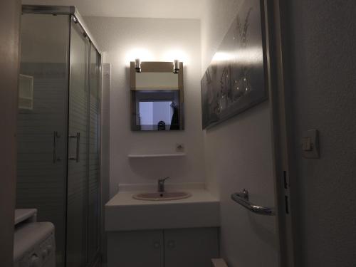 a bathroom with a sink and a mirror and a shower at hippocampe f2 in Fréjus