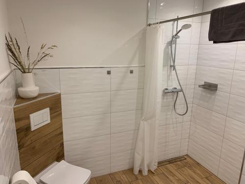 a bathroom with a shower and a toilet at Lille Hygge in Clenze