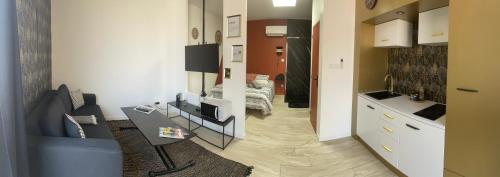 een kamer met een woonkamer met 2 bedden bij Studio Cosy tt confort proche aéroport in Colombier-Saugnieu