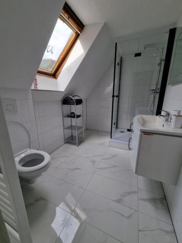 La salle de bains est pourvue de toilettes et d'un lavabo. dans l'établissement KM3 Apartment, à Triberg