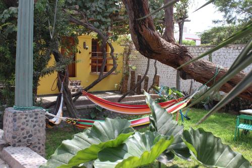 Κήπος έξω από το Hostal Loma Blanca