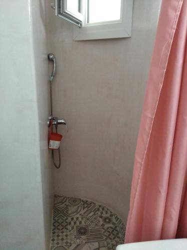 a bathroom with a shower with a pink shower curtain at Amorgaia 2 in Katapola