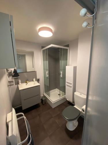 een badkamer met een douche, een toilet en een wastafel bij Appartement T2 bis, 200m de la mer, très calme in Camiers