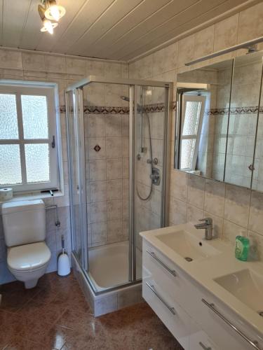 a bathroom with a shower and a toilet and a sink at Ferienwohnung Zauberwinkelweg mit Traum-Aussicht! in Wildschönau