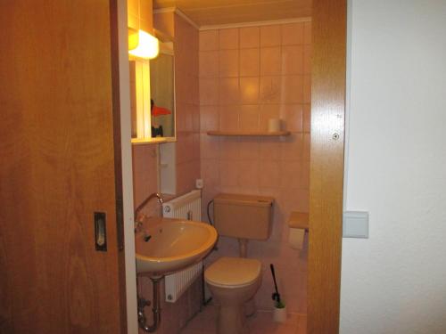 a bathroom with a toilet and a sink at Alsfelder Apartment I in Alsfeld