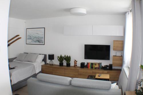 Televízia a/alebo spoločenská miestnosť v ubytovaní Apartament pod Świerkami