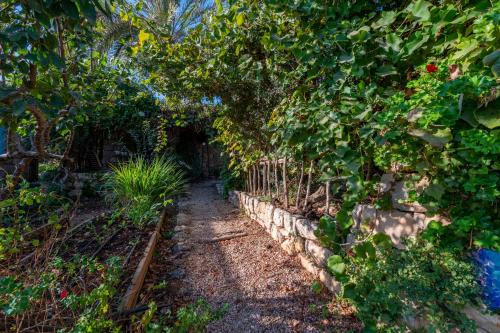 a garden with a fence and some plants at Hemdatya Stone Suites In The Galilee in Ilaniya