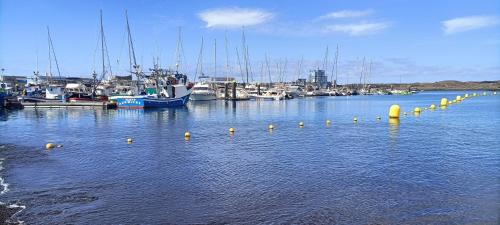 Sunny Harbour