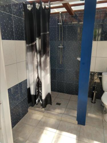 a bathroom with a shower with a black cat in it at Domki u Dobrusi in Mikołajki