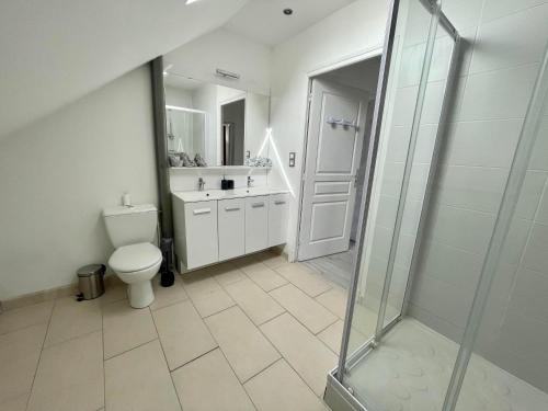 un bagno con wc, lavandino e doccia di Face Chateau de Chaumont sur loire Gîte La Rapinière a Onzain