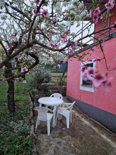 a table and two chairs and a tree with pink flowers at Apartman Sandro in Motovun