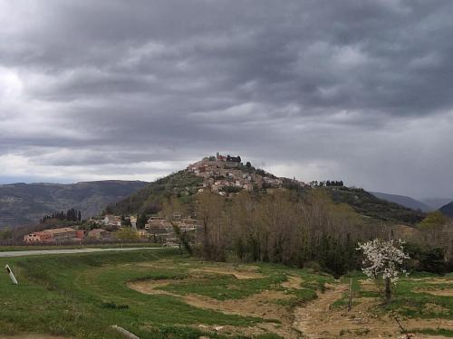 a house on top of a hill in a field at Apartman Sandro in Motovun