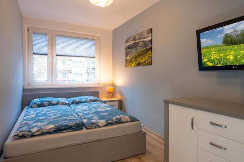 Karkonosky Apartamenty - Ismena في شكلارسكا بوريبا: غرفة نوم بها سرير وتلفزيون على الحائط