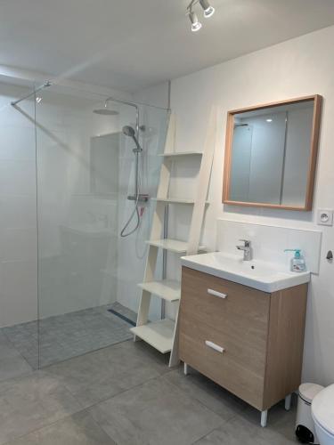 a bathroom with a shower and a sink and a mirror at GÎTE 2 Ferme de la Haute Escalles in Escalles
