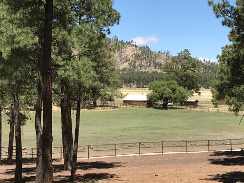 um grande campo verde com uma cerca e árvores em Grand Canyon 1bd Loft/Suite-Horseback Riding-Shooting-Dogs OK! em Parks