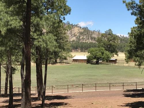 a large green field with a fence and trees at Grand Canyon 1bd Loft at Historic Wrigley Ranch-Suite with Horseback Riding, Hiking in Parks
