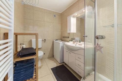 a bathroom with a toilet and a sink and a shower at Apartma Valsar Rogla in Zreče