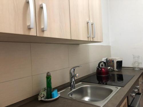 Kuchyň nebo kuchyňský kout v ubytování Luxury Apartments Zelny Trh 11