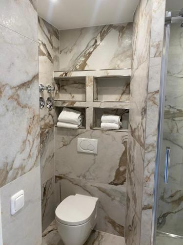 a bathroom with a toilet and a shower at Zum Franziskaner Dependance in Füssen