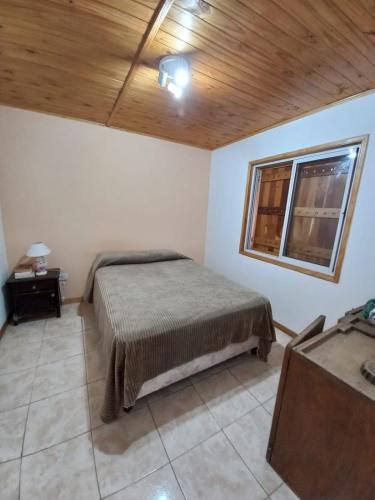 El Pino – Photos 3