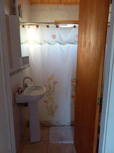 a bathroom with a sink and a shower curtain at El Pino in Trenque Lauquen