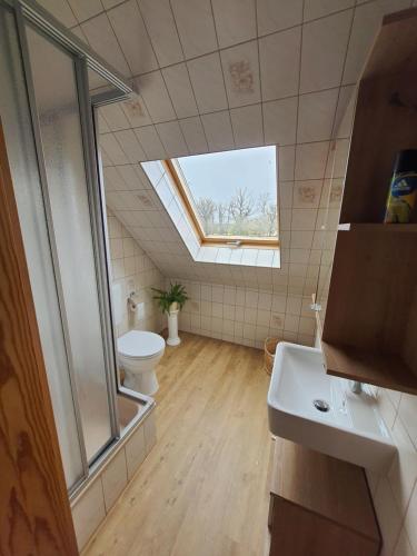 bagno con servizi igienici e lucernario. di Ferienhaus Am Pilgerweg a Tauscha