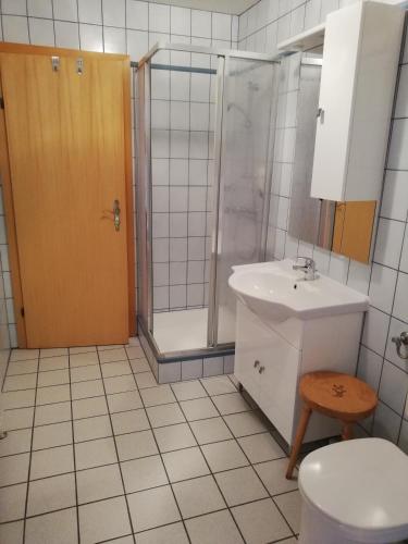 a bathroom with a shower and a sink and a toilet at Ferienwohnung Wachmann in Rohrbach am Kulm