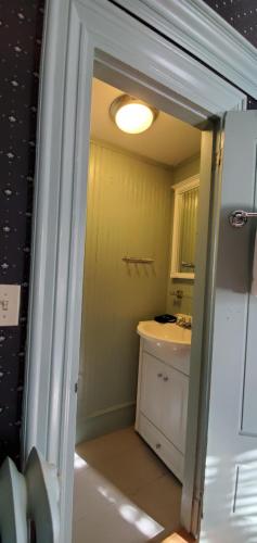 a small bathroom with a sink and a mirror at Blackberry Inn in Camden