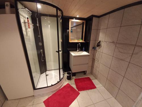 Ванна кімната в FeWo Heidenheim Bluewall