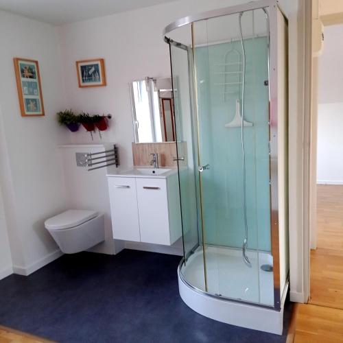 Un baño con ducha de cristal y un inodoro. en Appartement Calme Et Lumineux, en Radinghem-en-Weppes