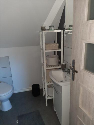 a bathroom with a sink and a toilet at Apartamencik Rafi 20m2 in Świnoujście