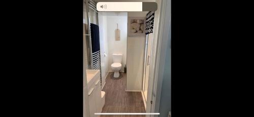 a bathroom with a toilet and a large mirror at Ground Floor Apartment in Exmouth