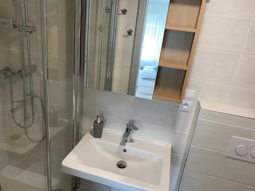 a bathroom with a sink and a shower at Usedlost Pivoňka in Mnichov
