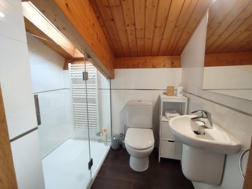 A bathroom at Allotjaments Paratge Fabas