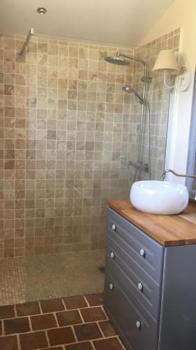 a bathroom with a sink and a shower at la pause campagne in Pullay