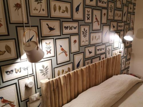 a wall with pictures of birds on it at Casa Pagiò in Bosa