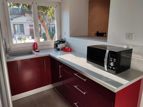 a kitchen with a counter with a microwave and a sink at Maison au calme dans un petit hameau in Verdun-sur-Garonne