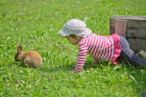a little girl playing with a rabbit in the grass at Aparthotel Hummerau in Alpbach