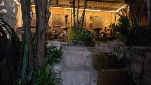 Pousada Encanto da Roça في موسوجي: غرفة بها سلالم ونباتات في مبنى