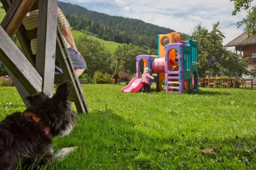 a dog sitting in the grass next to a playground at Aparthotel Hummerau in Alpbach