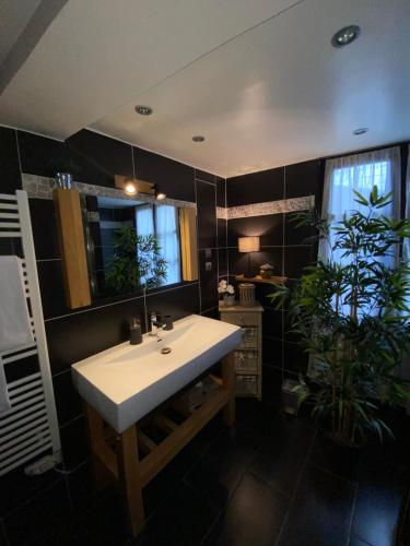 baño con lavabo blanco y planta en Au Bois Normand, en Honfleur