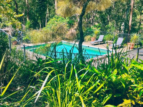 a pool of water surrounded by trees and shrubbery at Wallaby Ridge Retreat in Mount Tamborine