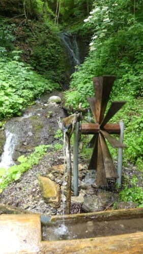 a water fountain in the middle of a forest at Tiha dolina in Železniki