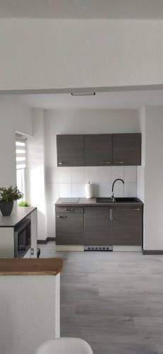 una cucina con armadi in acciaio inossidabile e lavandino di Ferienhaus Dobberzin nahe Mündesee ad Angermünde