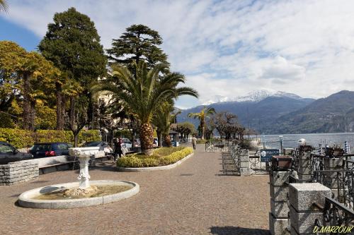 a street with palm trees and a lake and mountains at Le Petit Palais Villa in Plesio
