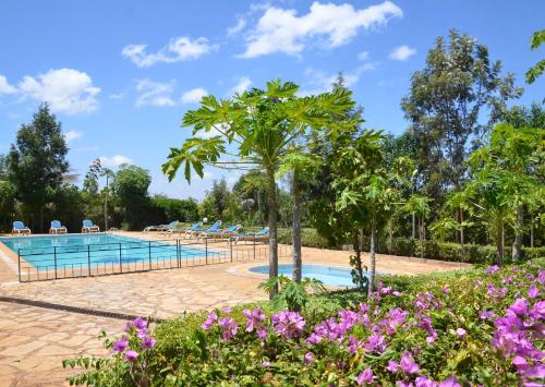 una piscina con flores púrpuras en el primer plano en ACK Resort Salama en Salama