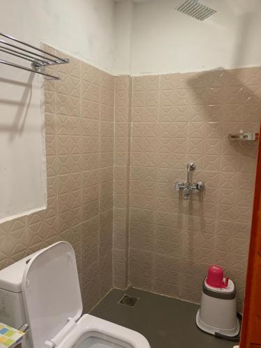 ディブルガルにあるCasa Willowのトイレとシャワー付きのバスルーム