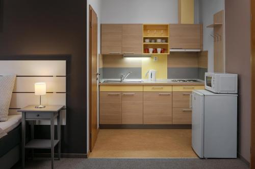 a small kitchen with a white refrigerator and a table at Apartmán - Dům Českého Švýcarska in Krásná Lípa